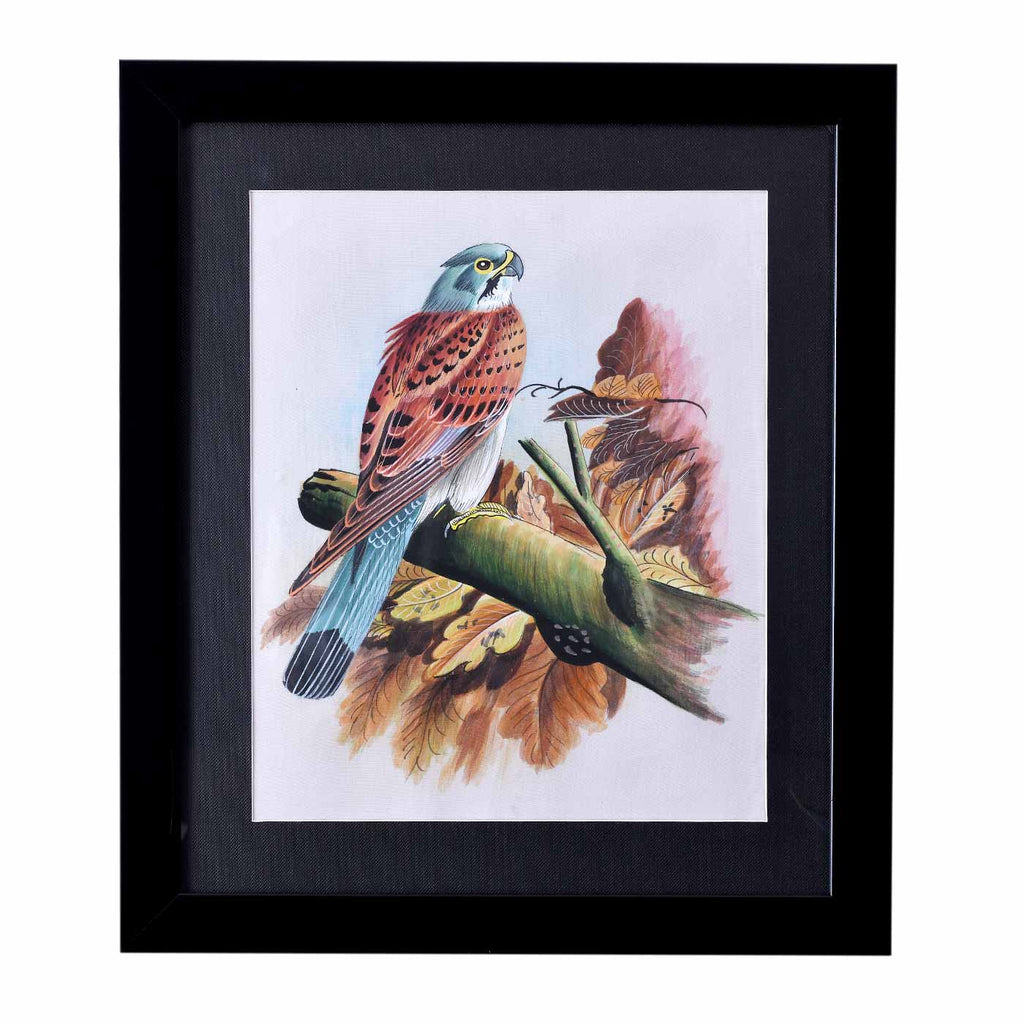Exclusive Falcon Canvas Painting (13*15 Inches)