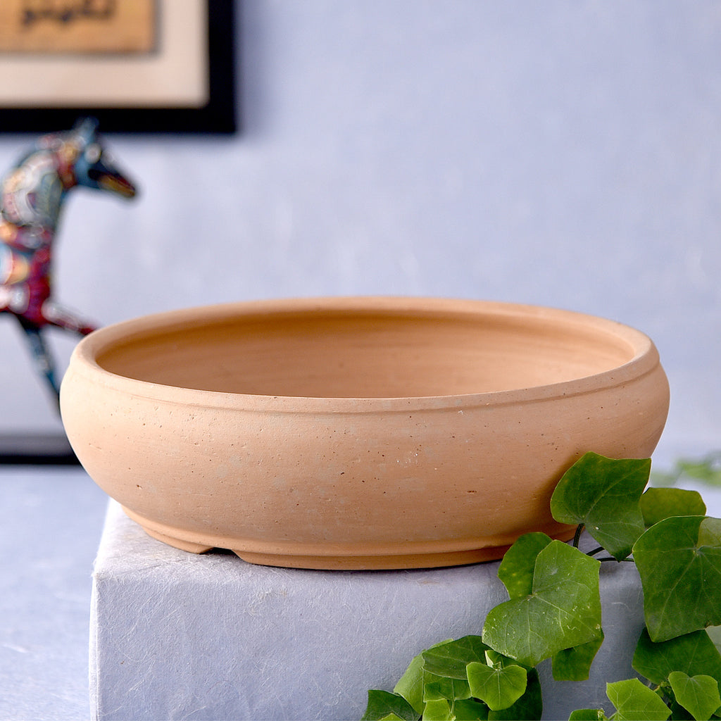 round clay pots for plants Garden Shallow Round Terracotta Pot – TOKENZ