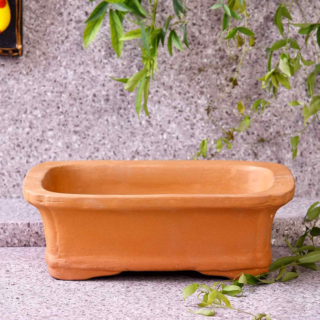 Designer Saucer Square Pot For Plant